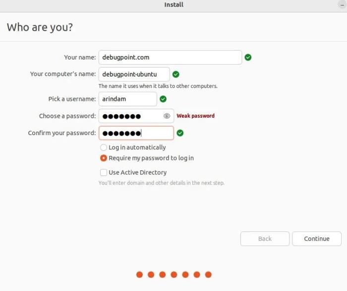 选择安装选项 选择安装选项