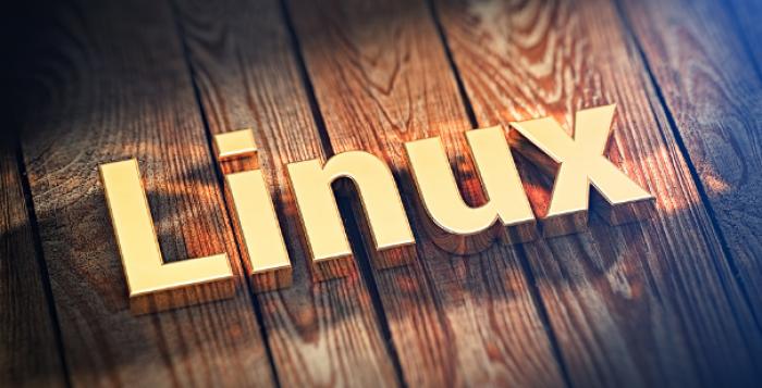 Linux 6.2 内核已正式发布,广泛支持苹果 M1 系列芯片 - 天津睿斯福得IT外包服务公司