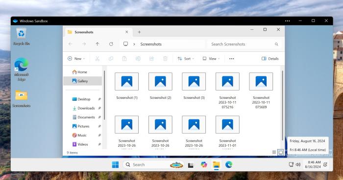 shared folder in windows sandbox canary build