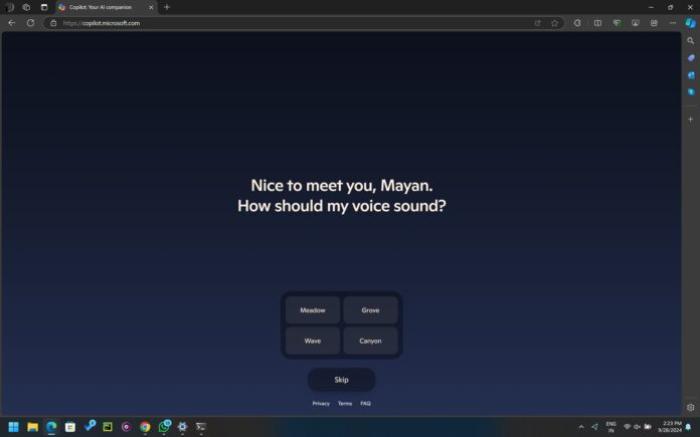 Copilot version 2 for web Copilot version 2 for web
