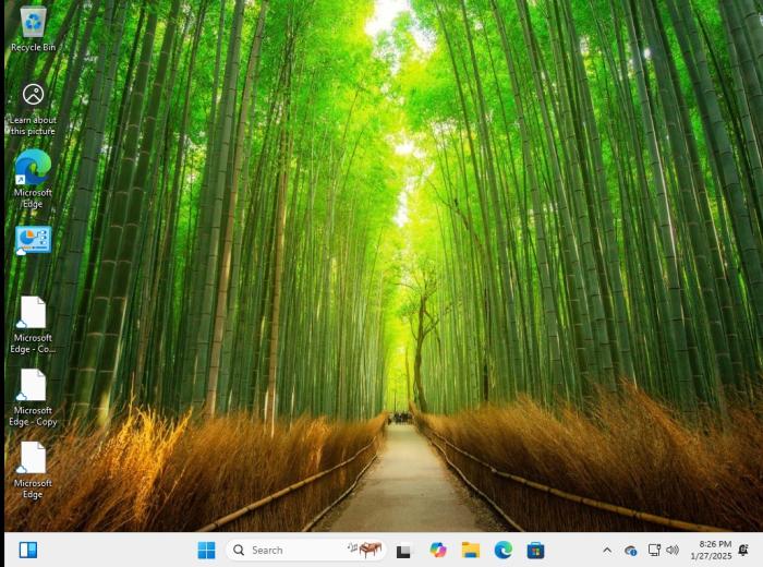 windows 11 23h2 reinstalled with the previous backup
