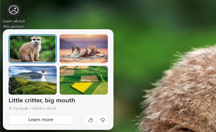 new flyout menu for windows spotlight