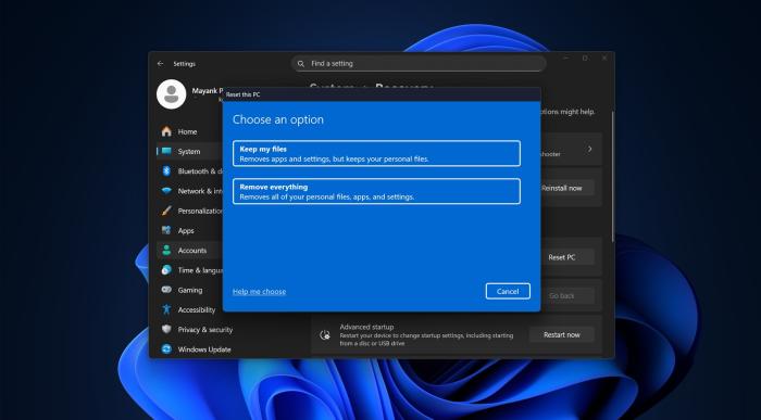 Windows 11 Reset and Recovery features broken