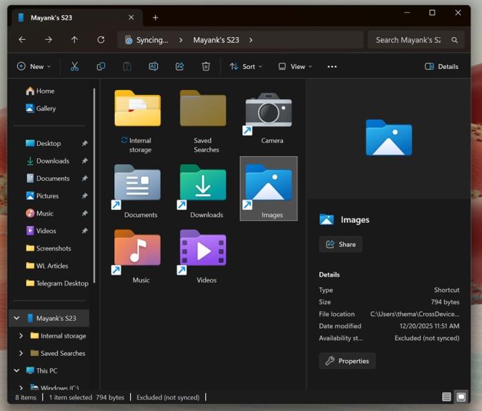 文件资源管理器中Android的媒体存储